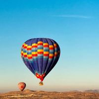 Cynthia Fantini's profile image