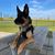 Angel Marie Oliver's profile image