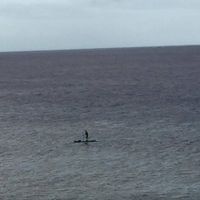 Dona Shores's profile image