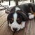 Maria Greenbaum's profile image