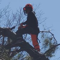 Elizabeth Price's profile image