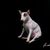 Jon Wallach's profile image