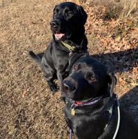 Fudge Brayleigh's profile image