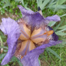 William   T. M.'s profile image