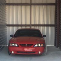 Stang Lyons's profile image