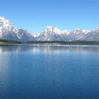 Donna Ellington Rucker's profile image