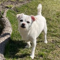 Vickie Gordon's profile image