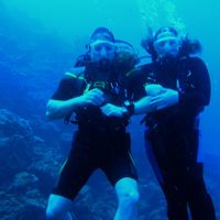 Wendy Born's profile image