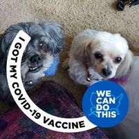 Judy Gramm's profile image