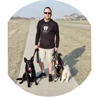 Nick Memphis's profile image