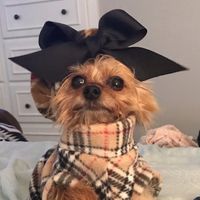Becky Hazelton Beckwith's profile image