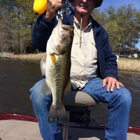 Jimmy Clark's profile image