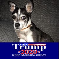 Sandy Swanner Harbor's profile image