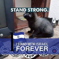 Kenneth Stripling's profile image