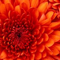 Nancy Mathews Smith's profile image