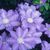 Noriko K.'s profile image