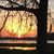 Karen Kieffer Haddix's profile image