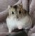 Amanda Barnes's profile image
