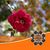 Heidi Feenstra's profile image