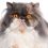 Bethany J.'s profile image