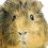 David H.'s profile image