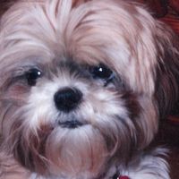 Muriel Kluge's profile image