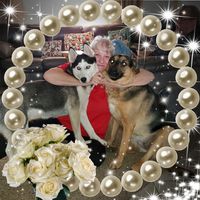 Debra Hopkins's profile image