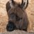 Lynda W. Smet's profile image