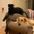 Loretta Moulton-Bresnahan's profile image