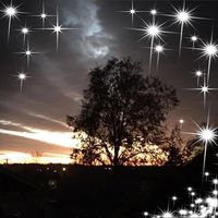 Rita Kohrs's profile image