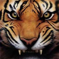 Tom Myers's profile image