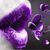 Cindy Asbill's profile image