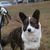 Karen Lyons's profile image