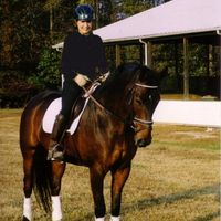 Katherine Pfaff's profile image