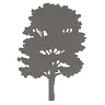Nicolas W.'s profile image
