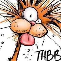 Mike Revie's profile image