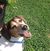 Rod Hounshell's profile image