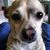 Darleen Ard's profile image
