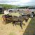 Sue Sipes's profile image