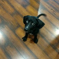 HopeMartin's profile image