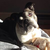 Melissa Chauvette Glennon's profile image