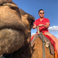 Chi Taah's profile image