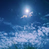 Crystal Z.'s profile image