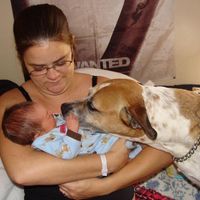 Shannon Forst's profile image