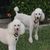 Karenanne Fitzsimmons's profile image