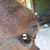 Ann Melott's profile image