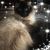 Melissa Mitchell Cathey's profile image