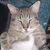 Tina Hoge's profile image