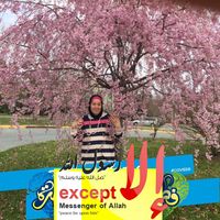 Bushra Khalaf's profile image