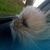 Michele McGonigle's profile image